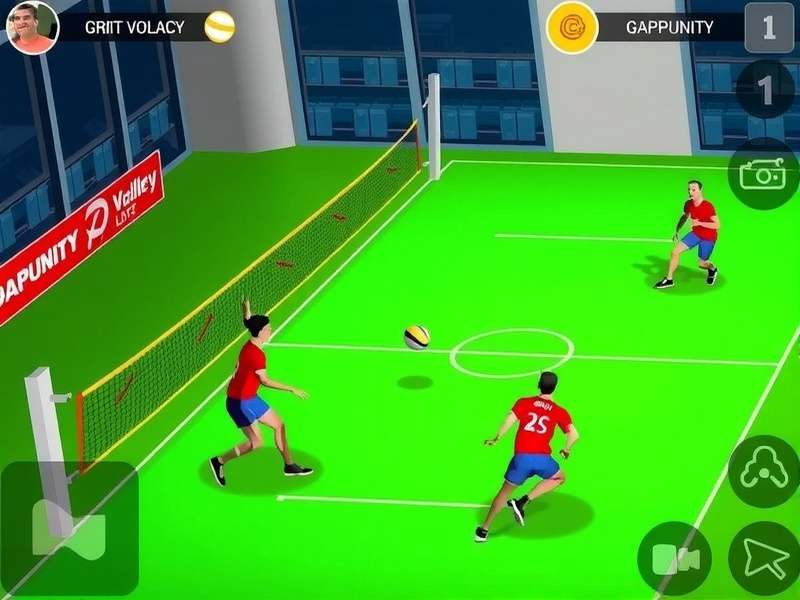 Punjab Volley Blitz Community